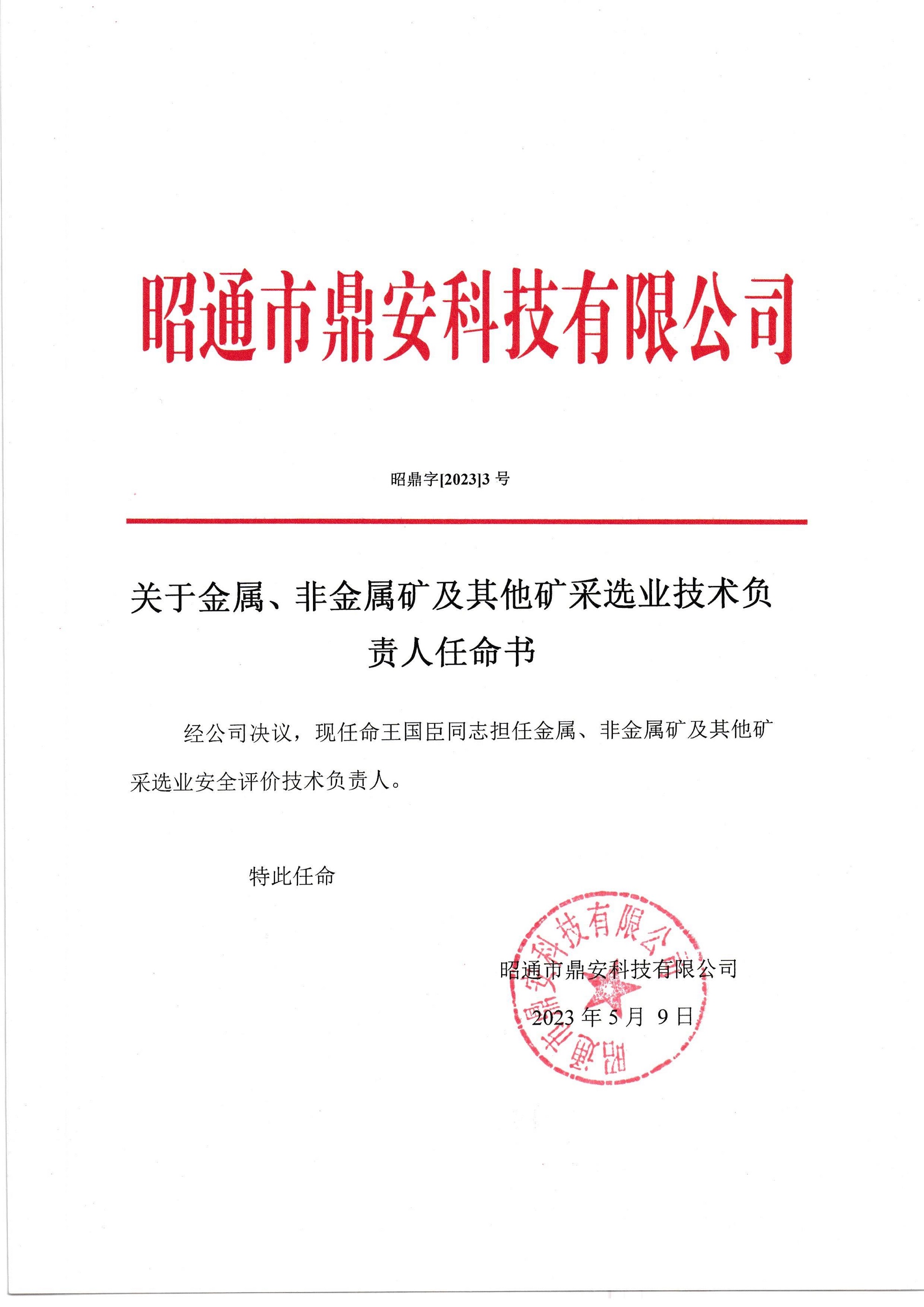 關(guān)于金屬、非金屬礦及其他礦采選業(yè)技術(shù)負(fù)責(zé)人任命書-王國臣_2.jpg